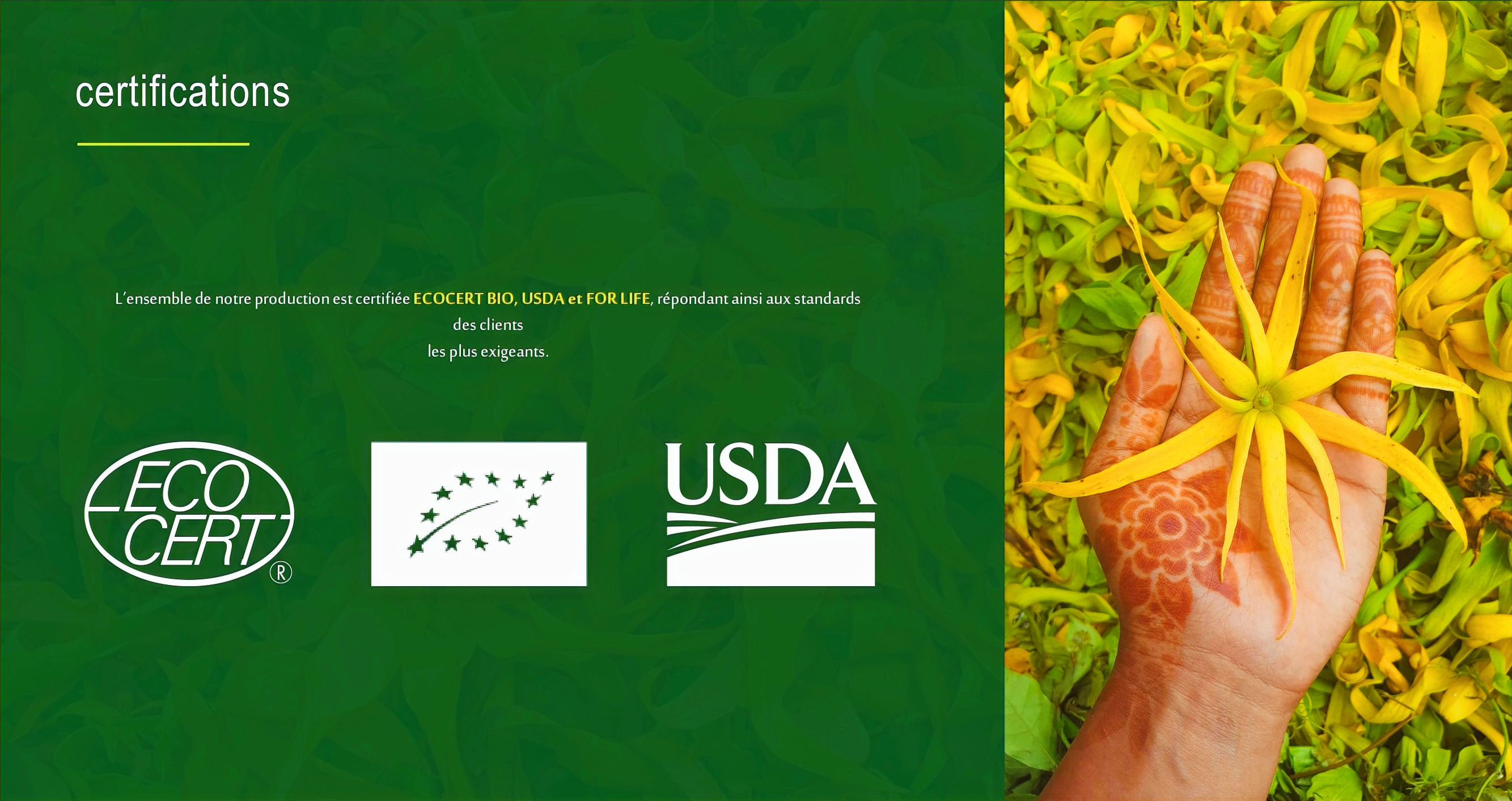 Certifications Ecocert Bio, USDA et For Life — Hôtel Fleur d'Ylang